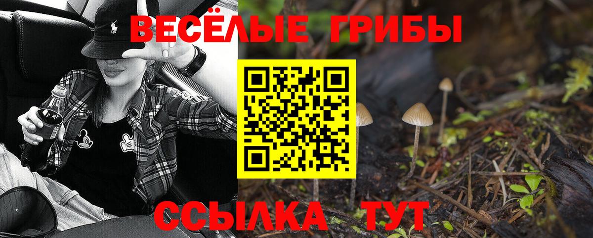 Псилоцибиновые грибы мицелий  магазин  наркотиков  Вход с VPN  Партизанск  Псилоцибиновые грибы прущие грибы 