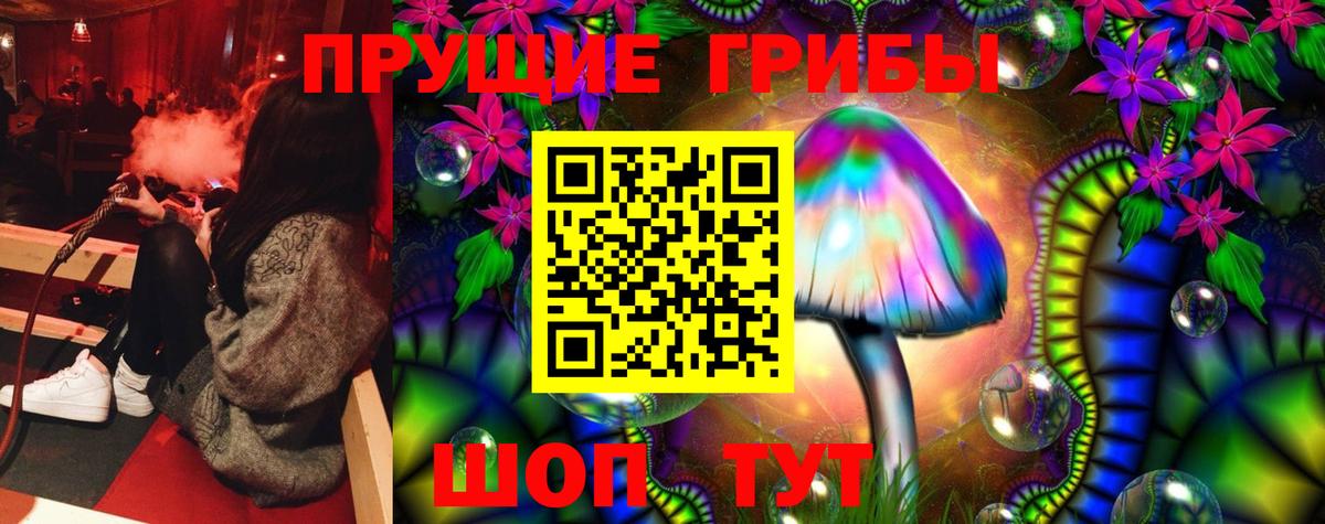 Галлюциногенные грибы Cubensis Партизанск